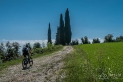 IMG_2000