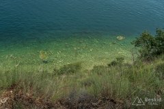 IMG_2009