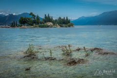 IMG_2012