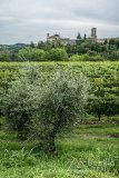 IMG_2014