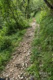 IMG_2020