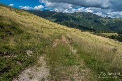 IMG_2039