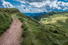 IMG_2041