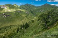 IMG_2042