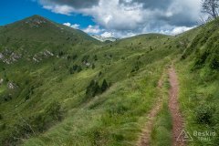 IMG_2043