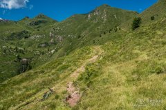 IMG_2044