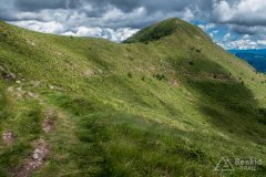 IMG_2048