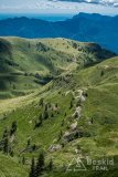 IMG_2049