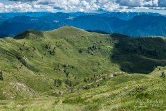 IMG_2050