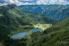 IMG_2061