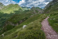 IMG_2062