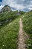 IMG_2064