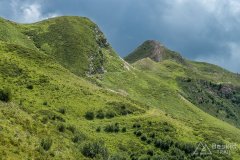 IMG_2075