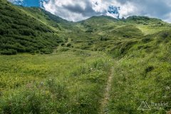 IMG_2077