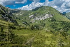 IMG_2078
