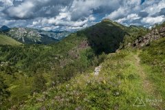 IMG_2079