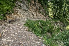 IMG_2080