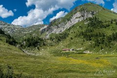 IMG_2081