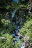 IMG_2084