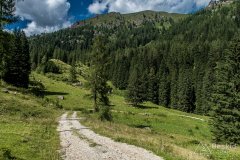 IMG_2085