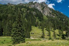 IMG_2086