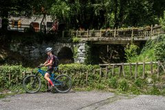 IMG_2088