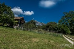 IMG_2091