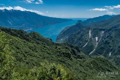 IMG_2095