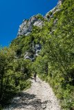 IMG_2096