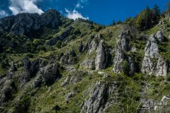 IMG_2098