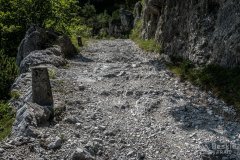 IMG_2101