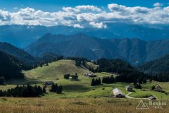 IMG_2110