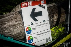 IMG_2113