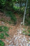 IMG_2116