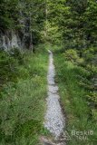 IMG_2118