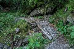 IMG_2120