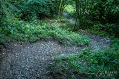 IMG_2123
