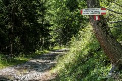 IMG_2131