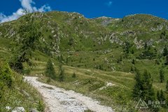 IMG_2133