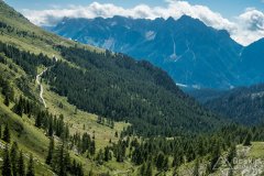 IMG_2134