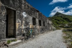 IMG_2135