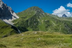 IMG_2139
