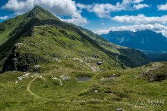IMG_2140