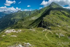 IMG_2142
