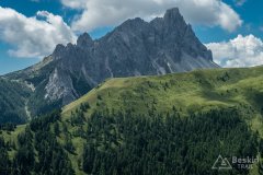 IMG_2148