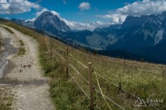 IMG_2149
