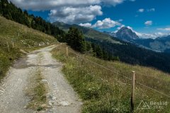 IMG_2150