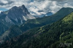 IMG_2153