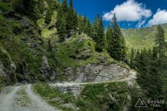IMG_2155