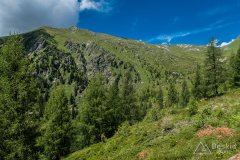 IMG_2157